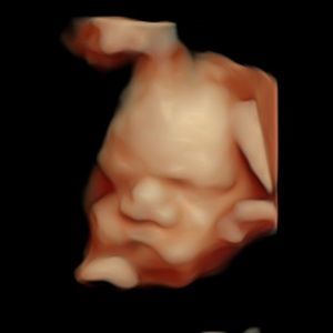 Meet your Posher, Tamia